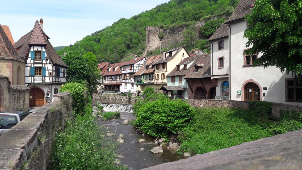 4 Gites Individuels A Kaysersberg Exterior photo