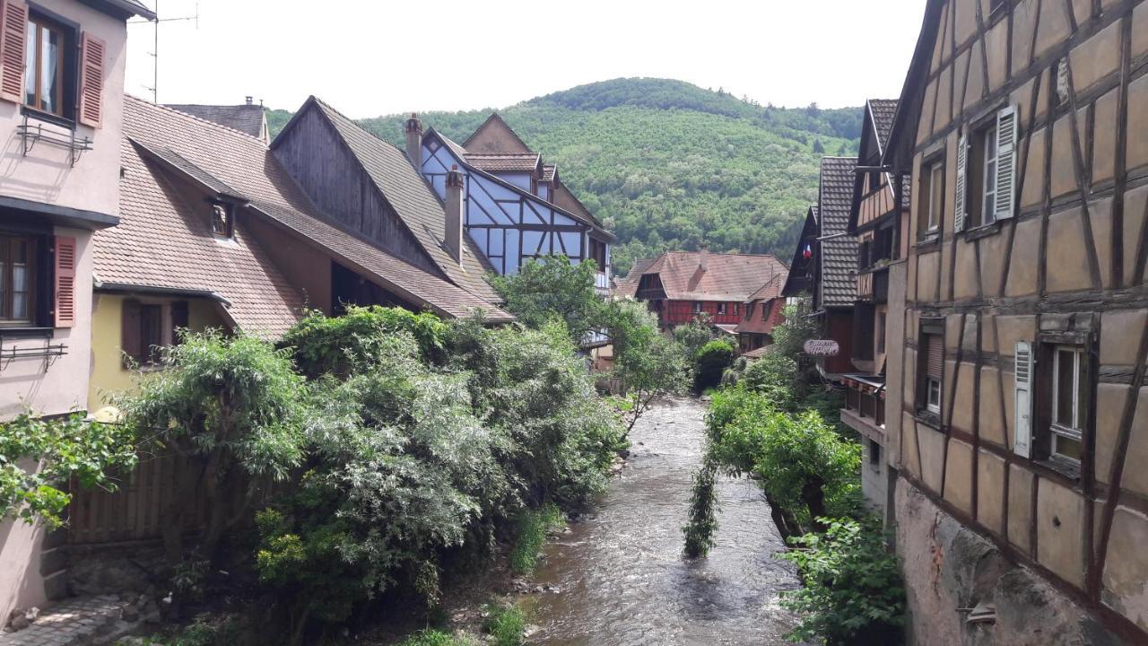 4 Gites Individuels A Kaysersberg Exterior photo