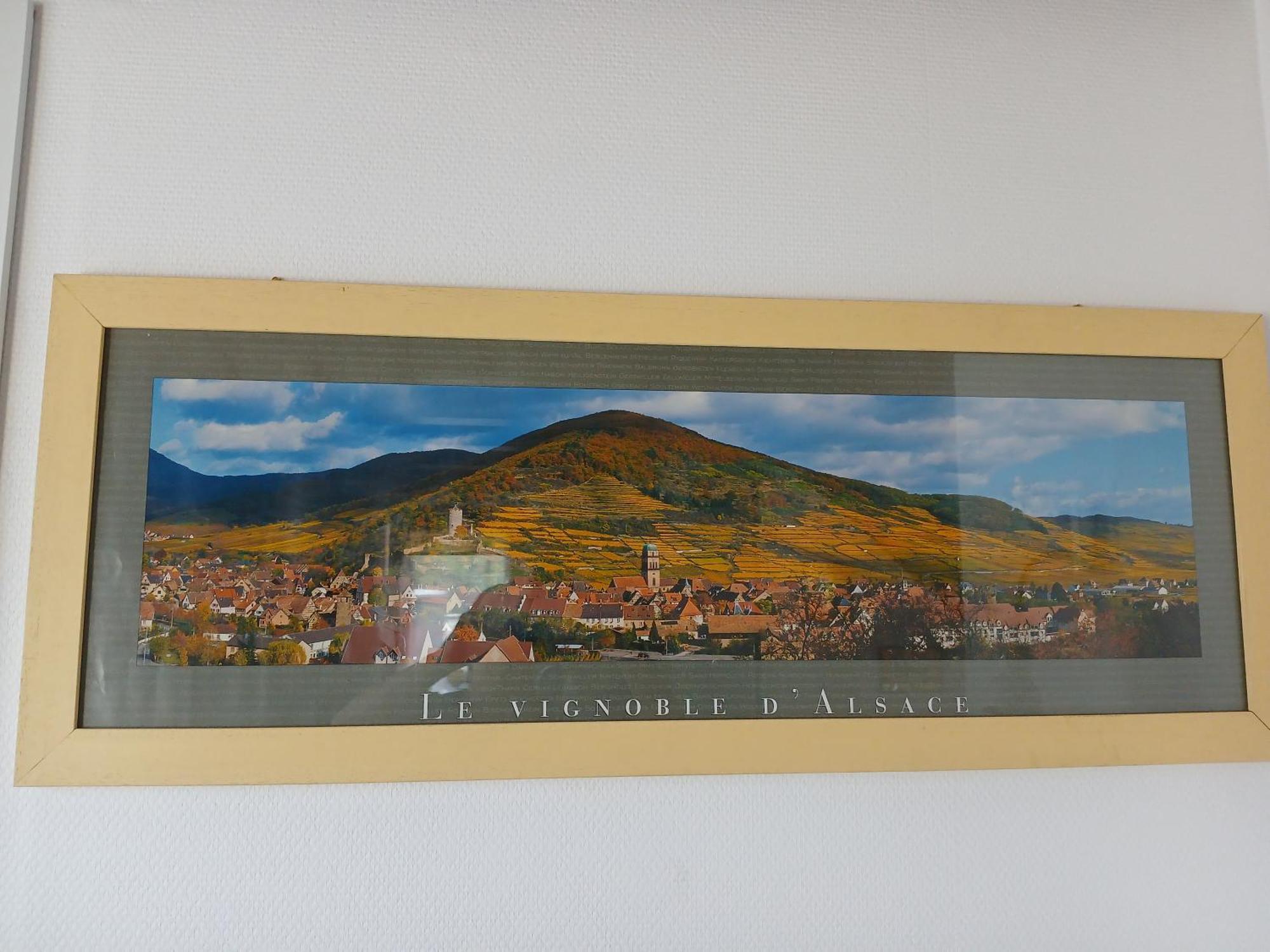 4 Gites Individuels A Kaysersberg Exterior photo